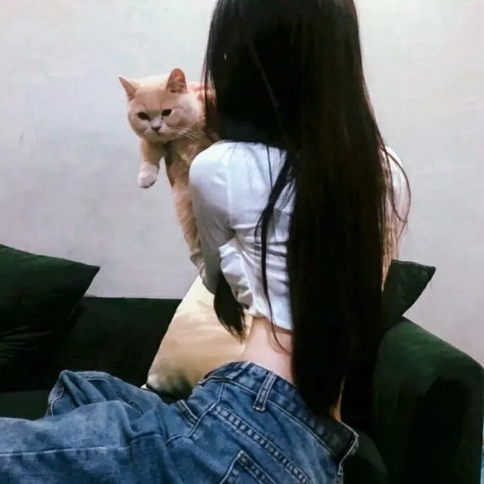 少女骑士物语